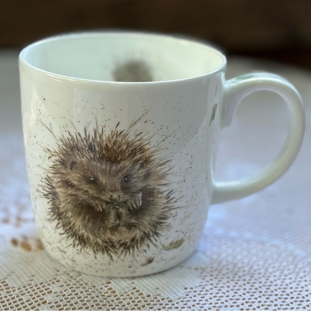 Royal Worcester UK Wrendale Designs by Hannah Dale. Hedgehog “Awakening”